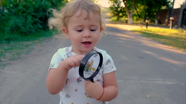Child Studying Snail Park Selective Focus Nature — Video