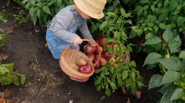 Bahçede elmalı çocuk. Seçici odaklanma. Çocuk.