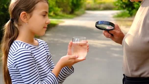 Niño Una Abuela Examinan Agua Enfoque Selectivo Gente — Vídeo de stock