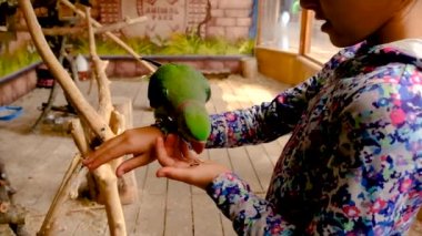 Çocuk elinde bir papağan tutuyor. Seçici odaklanma. İnsanlar.