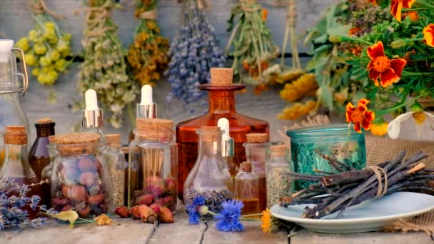 Teintures Extraits Herbes Dans Pot Concentration Sélective Nature — Video