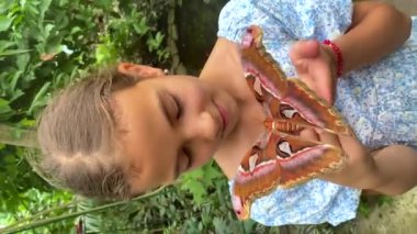 Child holds a butterfly on their hand. Coscinocera hercules. Selective focus. Kid.