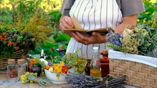 Tincturen Extracten Van Kruiden Een Kruik Vrouw Selectieve Focus Natuur — Stockvideo