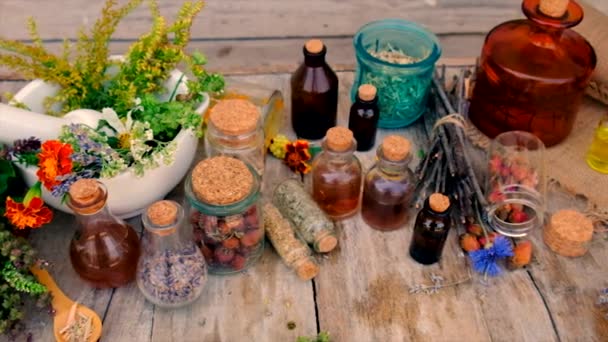 Teintures Extraits Herbes Dans Pot Concentration Sélective Nature — Video