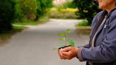 The child and grandmother are planting a tree. Selective focus. Kid.