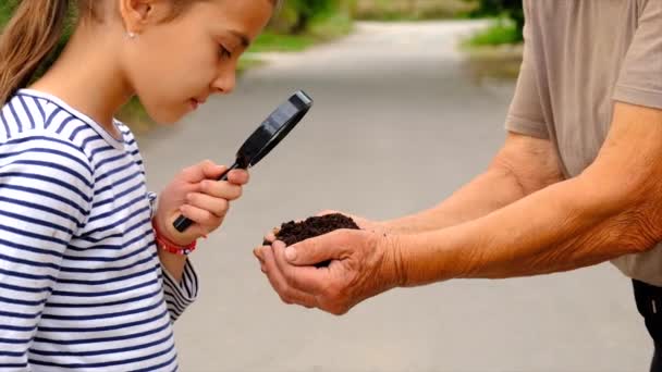 Child Examines Soil Magnifying Glass Selective Focus Kid — Stockvideo