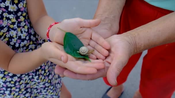Grandmother Child Studying Snail Park Selective Focus Nature — Video Stock