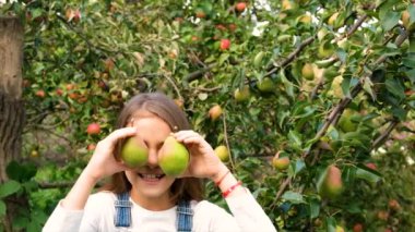 Çocuk bahçede armut topluyor. Seçici odaklanma. Yiyecek..