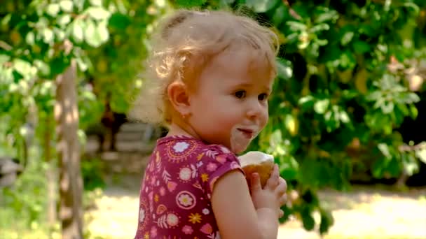 Enfant Mange Glace Dans Parc Concentration Sélective Enfant — Video