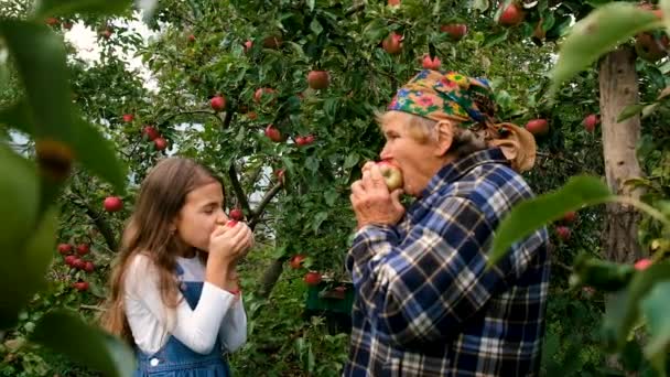 Grand Mère Son Enfant Mangent Des Pommes Dans Jardin Concentration — Video