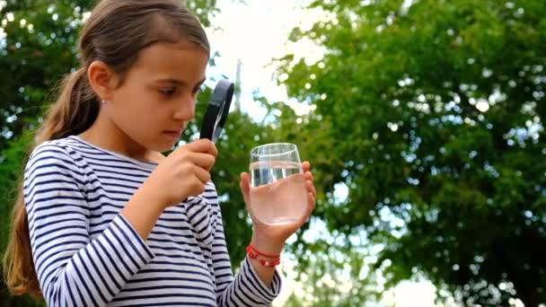 Child Examines Water Magnifying Glass Selective Focus Kid — Stock Video