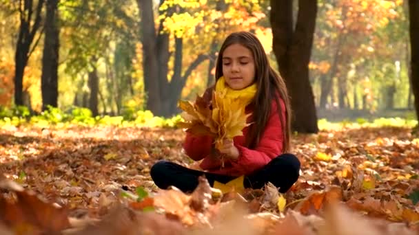 Dítě Hraje Podzimními Listy Selektivní Soustředění Kluk — Stock video