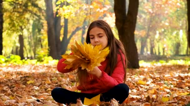 Dítě Hraje Podzimními Listy Selektivní Soustředění Kluk — Stock video