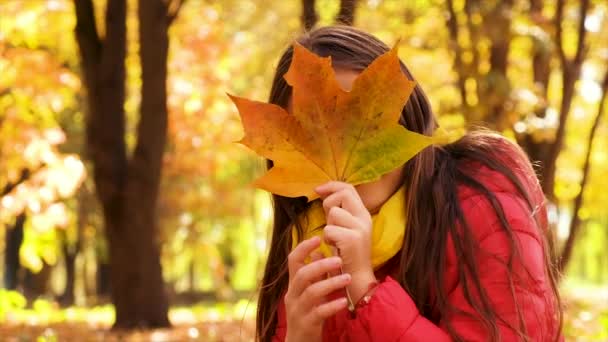 Uma Criança Brinca Com Folhas Outono Foco Seletivo Miúdo — Vídeo de Stock