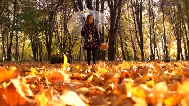 Dziecko Parasolem Jesiennym Parku Wybiórcze Skupienie Dzieciaku — Wideo stockowe