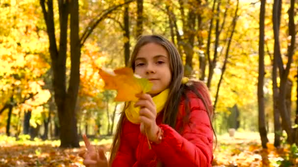 Ein Kind Spielt Mit Herbstblättern Selektiver Fokus Kind — Stockvideo