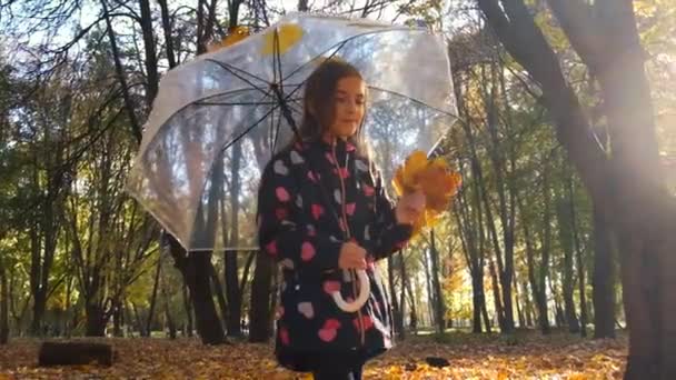 Kind Mit Regenschirm Herbstpark Selektiver Fokus Kind — Stockvideo