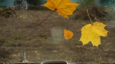 Islak bir sonbahar penceresinde bir fincan çay. Seçici odaklanma. İçkiler..