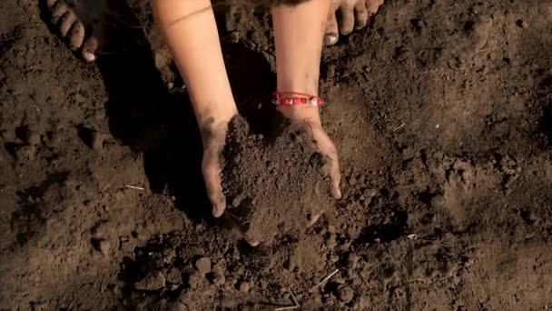 Child Holds Soil His Hands Selective Focus Kid — Stock Video