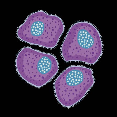 Innate immune system: mast cells, vector illustration clipart