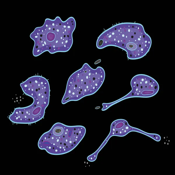 Врождённая Иммунная Система Макрофаговые Клетки Векторная Иллюстрация — стоковый вектор