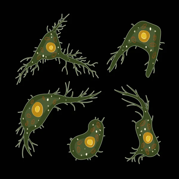 Врождённая Иммунная Система Дендритные Клетки Векторная Иллюстрация — стоковый вектор