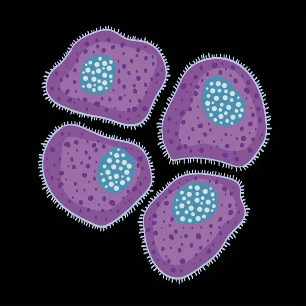 Innate Immune System Mast Cells Vector Illustration — Stock Vector
