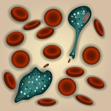 Doğuştan bağışıklık sistemi: kandaki makrofaj hücreleri, vektör illüstrasyonu