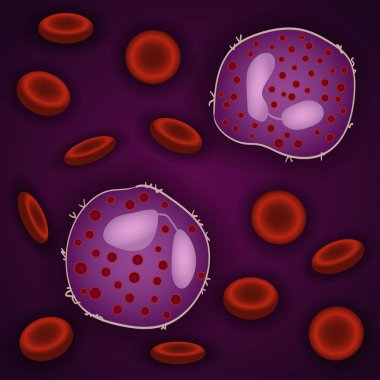 Doğuştan bağışıklık sistemi: kandaki eozinofil hücreler, vektör illüstrasyonu