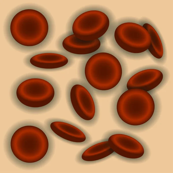 Erytrocyten Rode Bloedcellen Vectorillustratie — Stockvector