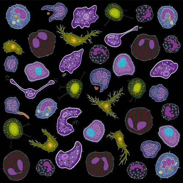Set Cellule Del Sistema Immunitario Innate Illustrazione Vettoriale — Vettoriale Stock