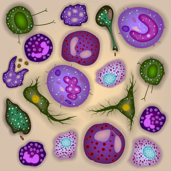 Набор Клеток Врожденной Иммунной Системы Векторная Иллюстрация — стоковый вектор