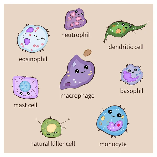Készlet Veleszületett Immunrendszer Sejtek Rajzfilm Aranyos Vicces Vektor Illusztráció — Stock Vector
