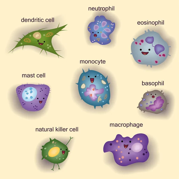 Набір Вроджених Клітин Імунної Системи Мультфільм Милий Смішний Векторні Ілюстрації — стоковий вектор