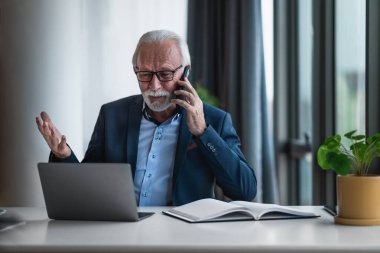 Yetişkin bir iş adamının portresi. Günlük iş ofisinde. Bilgisayarla çalışırken telefonla konuşuyor ve el kol hareketi yapıyor..