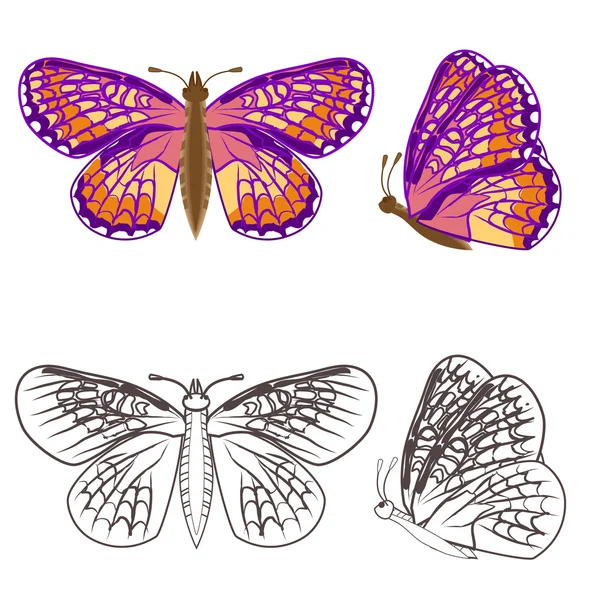 Farfalla rosa — Vettoriale Stock