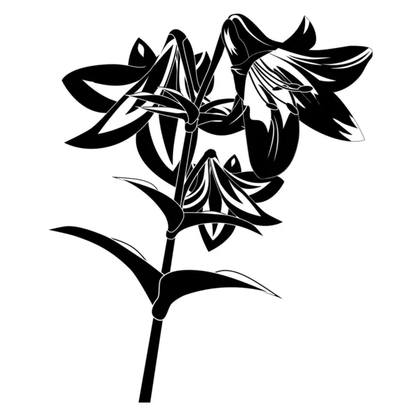 Silhouette fleur — Image vectorielle