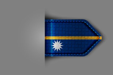 nauru Cumhuriyeti bayrağı