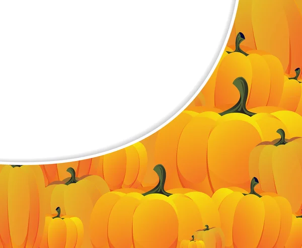 Veel van rijp pumpkins — Stockvector