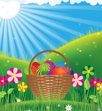 sepet yumurta bahar güneşi altında