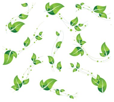 Bitkisel öğeler kümesi