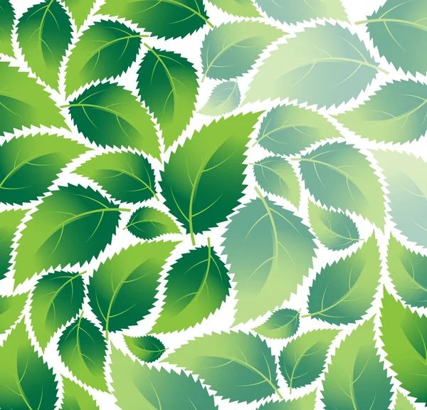 绿色树叶 — 图库矢量图片