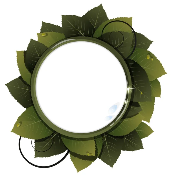 Green leaves round frame — Stock Vector