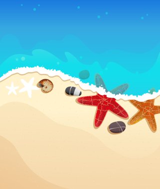 starfishes ile deniz plaj