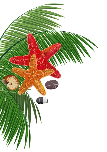 Ramas de palmeras, estrellas de mar, guijarros y conchas — Vector de stock