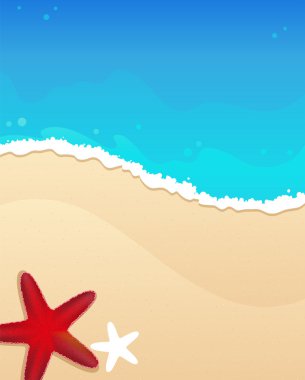 plaj starfishes