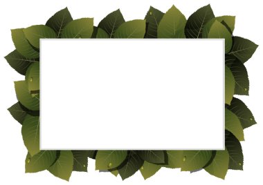 yeşil yaprak çerçeve