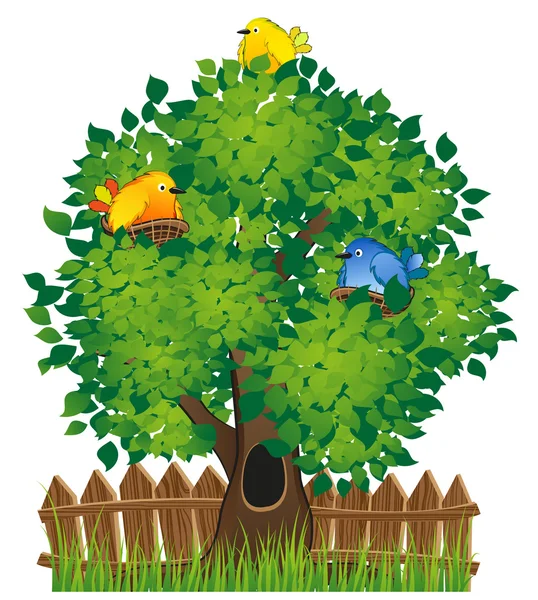 Árbol y aves — Vector de stock