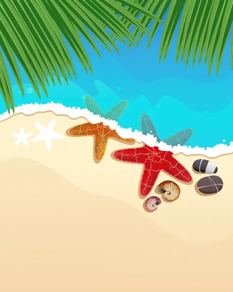 Playa con estrellas de mar y ramas de palma — Vector de stock