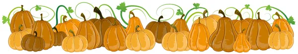 Pumpkins with sprouts and leaves — Stock Vector